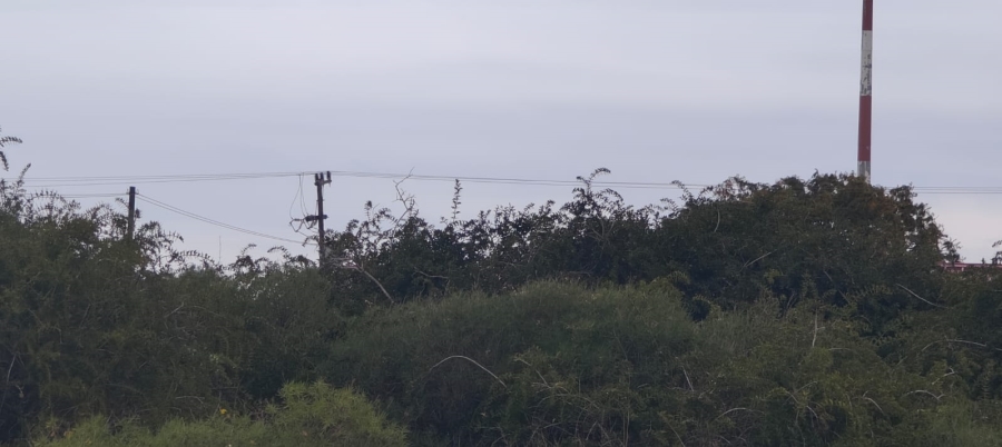 0 Bedroom Property for Sale in Colchester Eastern Cape